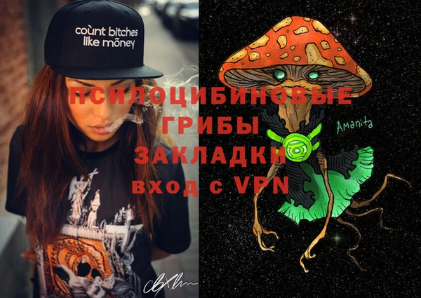 ПСИЛОЦИБИНОВЫЕ ГРИБЫ Балахна