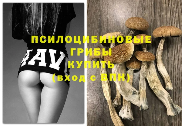 ПСИЛОЦИБИНОВЫЕ ГРИБЫ Балахна