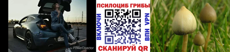 даркнет Telegram  купить наркотик  Верхнеуральск  Псилоцибиновые грибы Psilocybe 